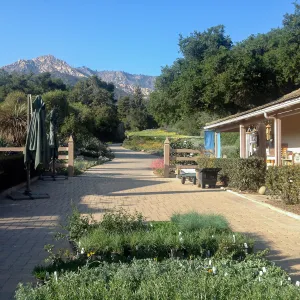 Spring Plant Sale setup, 2014