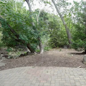 Redwood Section, 5 years post Jesusita Fire