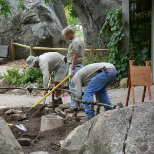 Orchid Display railing installation