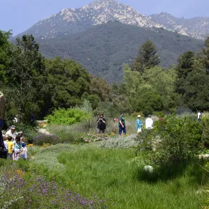 Spring Egg Hunt, 2007