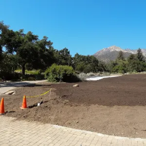 Meadow Revival Project, black versus white plastic mulch test, installation