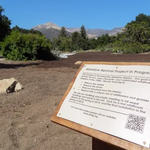 Meadow Revival Project interpretive sign