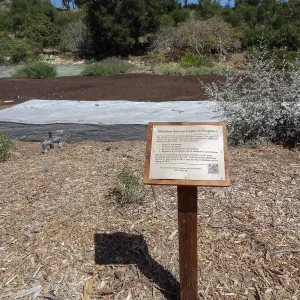 Meadow Revival Project, black versus white plastic mulch test, interpretive signage