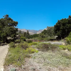 Meadow Revival Project, view from Groundcover Display
