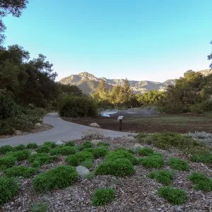 Meadow Revival Project