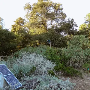 Meadow Revival Project, time lapse camera