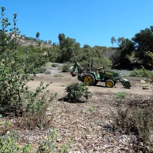 Meadow Revival Project, turf removal