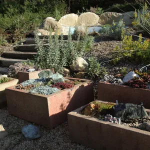 Trough planters at steps to Grammy's bench