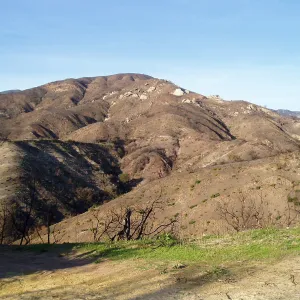 Winchester Canyon After the Gap Fire