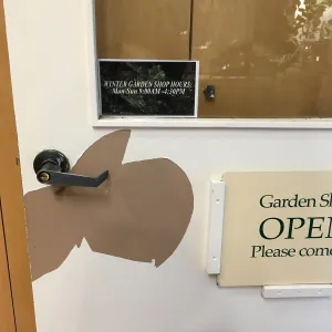 Peeling paint after west side paint project completed