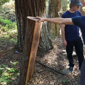 Bench making, Connie Harvie bench