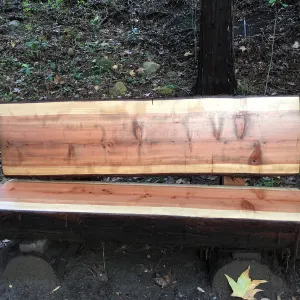 New Redwood bench, Connie Harvie bench