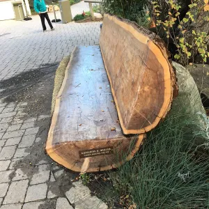 Katherine K Muller bench, in front of Garden shop