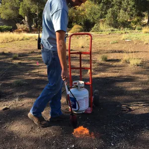 Wes Franken using a torch for weed abatement