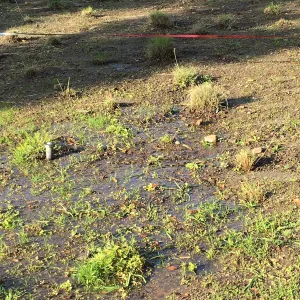 Meadow after rainstorm