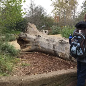 Urban Nature Garden at the Natural History Museum of Los Angeles