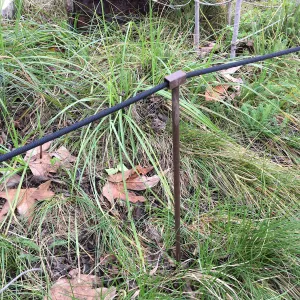 Urban Nature Garden at the Natural History Museum of Los Angeles