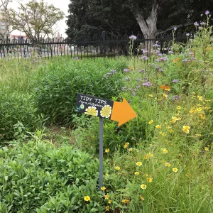 Urban Nature Garden at the Natural History Museum of Los Angeles