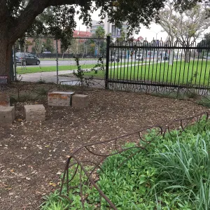Urban Nature Garden at the Natural History Museum of Los Angeles