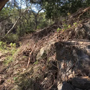 Canyon after the January 20 rainstorm