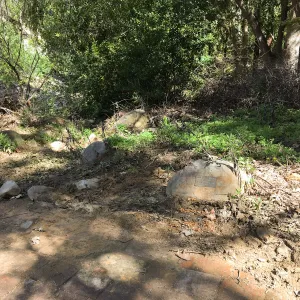 Mission Dam and canyon after the January 20 rainstorm