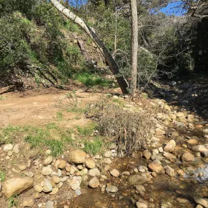 Above Mission Dam after the January 20 rainstorm