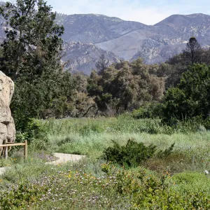 Meadow and burned hillsides after Jesusita Fire