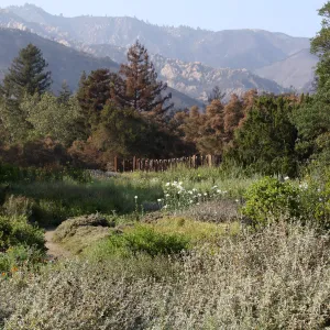 Meadow after Jesusita Fire, Herb Parker's â€˜Haven' labyrinth under construction