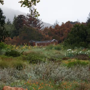 Meadow with Herb Parker's â€˜Haven' labyrinth under construction after Jesusita Fire