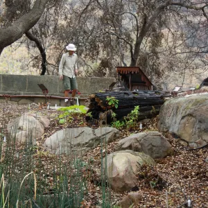 Jason Nelson at Orchid Display after Jesusita Fire