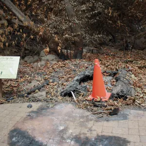 Site of Redwood Round after Jesusita Fire