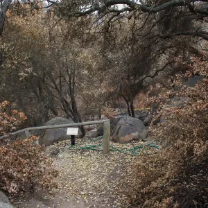 View towards picnic area after Jesusita Fire