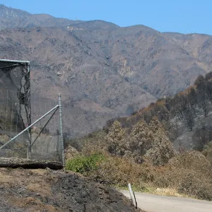 Southeast corner of Garden Growers Canyard and scorched mountanside to the northeast after Jesusita Fire