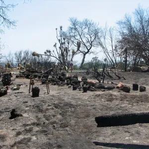 Pool and garden area at south end of Gane House site after Jesusita Fire