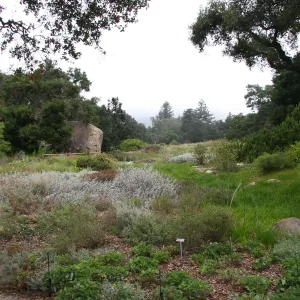 Meadow from entrance area