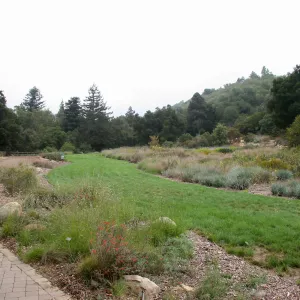 Meadow fom Blaksley Boulder area