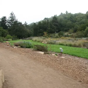Meadow looking northeast from Meadow Terrace