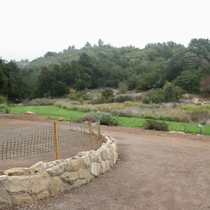 Meadow looking northeast from Meadow Terrace