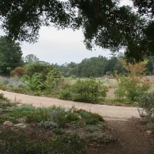 Meadow looking south from top of Meadow