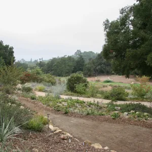 View across Meadow from Meadow View to Meadow Terrace
