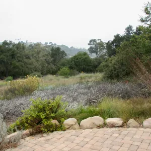 View towards northwest across top of Meadow