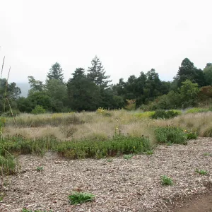 View from Holton Bench trail across Meadow towards north