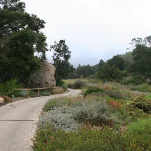 View past Blaksley Boulder towards Meadow