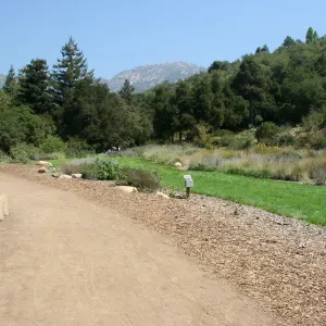 Meadow looking northeast from Meadow Terrace