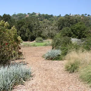 Viiew across top of Meadow towards northwest
