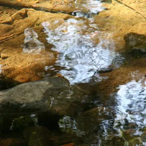 Water in Mission Creek