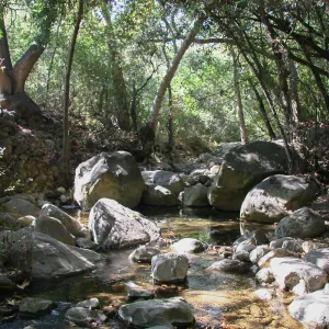 Mission Creek above lower creek crossing
