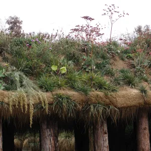 Exterior planted roof, Herb Parker's Labyrinth