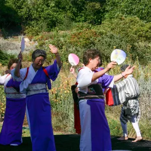 Japanese-style Summer Solstice Celebration to benefit ShinKanAn Teahouse