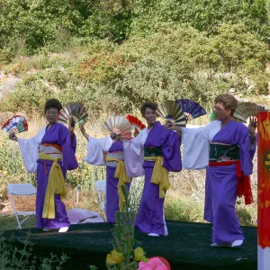 Japanese-style Summer Solstice Celebration to benefit ShinKanAn Teahouse